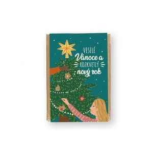 Blossombs Seed Bombs - Mini Gift Set - Magical Christmas (4 pcs)