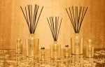 1815 Sticks Ml.250 Gold Vase Home Fragrance - Tfu - 10Th Anniversary (Ta250Tfu.23T