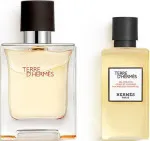 Terre D'Hermès Eau de Toilette for Men 50 ml + Shower Gel 40 ml