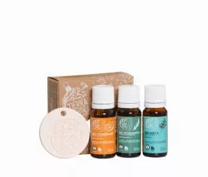 Tierra Verde Winter set of BIO essential oils with vaporizer (3 pcs vaporizer)