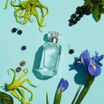 Tiffany Sheer Eau de Toilette 75 ml for Women