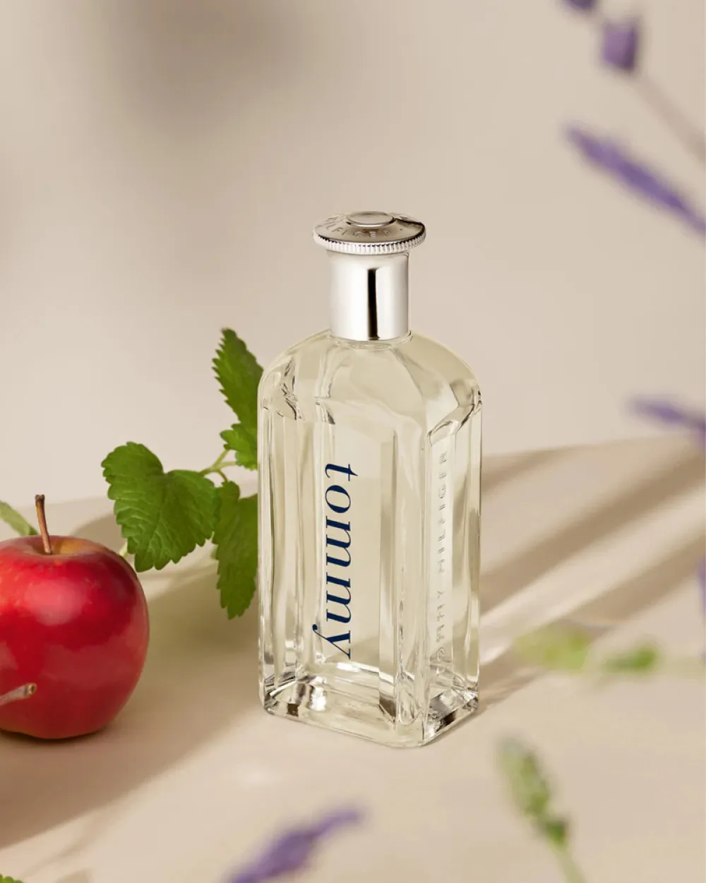 Tommy eau de toilette 100 ml for men