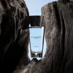 Touch for Men Eau de Toilette for Men 100 ml
