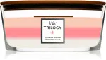 Trilogy Blooming Orchard scented candle with a wooden wick 453.6 g 453,6 g