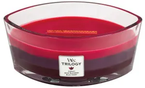 WoodWick Trilogy Sun Ripened Berries scented candle with a wooden wick 453.6 g