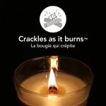 Vanilla Bean scented candle with a wooden wick 275 g