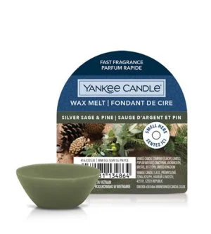 Yankee Candle Silver Sage & Pine Scented Wax 22 g
