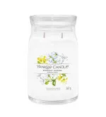 Midnight Jasmine Signature Large Candle 567 g