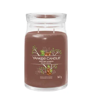 Yankee Candle Praline & Birch signature large candle 567 g
