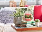 The Last Paradise scented candle 411 g