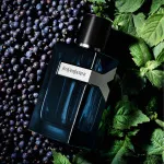 Y Intense Eau de Parfum for Men 60 ml