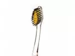 Nano-b Toothbrush with gold and activated charcoal translucent - medium