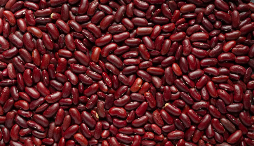 Healthy bean recipes you must try