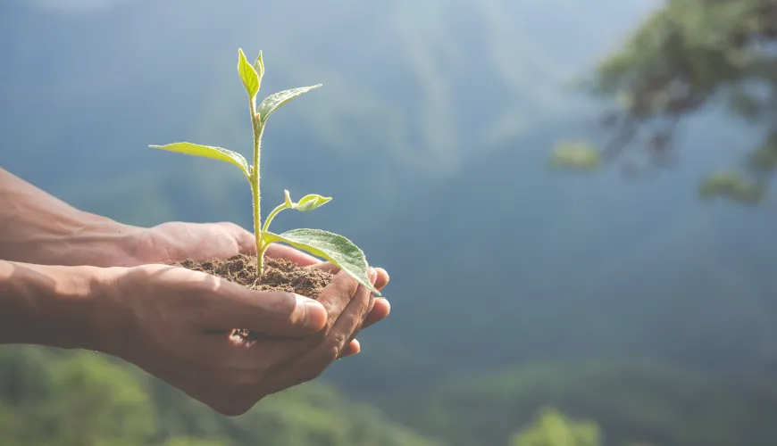 What is greenwashing and how to recognize it