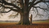 What one tree can teach us about the rhythm of nature and life