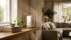 # How an Air Ionizer Works and What to Expect from It

An air ionizer is a device that is increasing