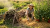 How soil protection in the garden will improve your harvest
