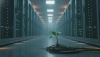 # How Does Slow Internet Affect Carbon Footprint