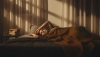 # How to Stop Thinking at Night and Sleep Peacefully