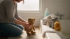 # How to Wash Stuffed Animals and Soft Toys Without Damage

Stuffed animals and soft toys collect du