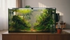# How to Manage Aquatic Plant and Aquarium Maintenance Without Chemicals

## Why Avoid Chemistry in 