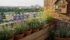 # Why Are Bees Important and How to Help Them on Your Balcony

## Why Are Bees Important?

Bees are 