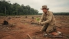 Planting trees is not enough, ecology needs much more