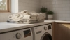# What Belongs and Doesn't Belong in the Dryer

## ✅ What CAN go in the dryer

- **Cotton** – t-shir