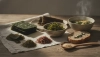 Try seaweed in Czech cuisine in seven ways