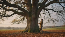 What one tree can teach us about the rhythm of nature and life