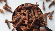 The Miracle of Nature: Clove and Its Healing Properties