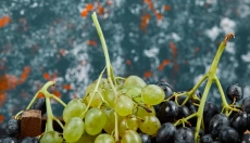 What Pregnant Women Should Know About Grapes