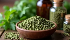 How to Properly Use Nettle Seeds for Your Health