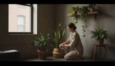 # Which houseplants to choose for darker apartments

Not everyone has a bright, sun-drenched apartme