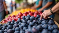 The best plum compote from grandma that you will love