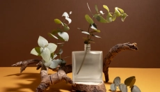 The Fascinating Story of Musk Fragrance in Perfumery