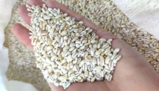Learn to cook grains easily step by step