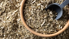 Health Risks Associated with Excessive Yerba Maté Consumption
